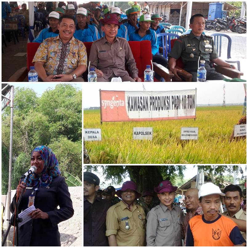 Unjuk Karya Panen Perdana Kawasan 10 Ton Desa Gedongarum