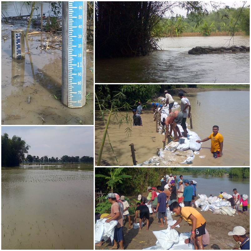 Banjir Genangi 4 Desa di Kecamatan Kanor