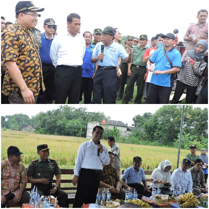 Menteri Pertanian Hadiri Unjuk Karya Petani Kanor