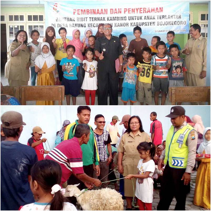Disnakertransos Beri Bantuan Kambing untuk Anak Terlantar