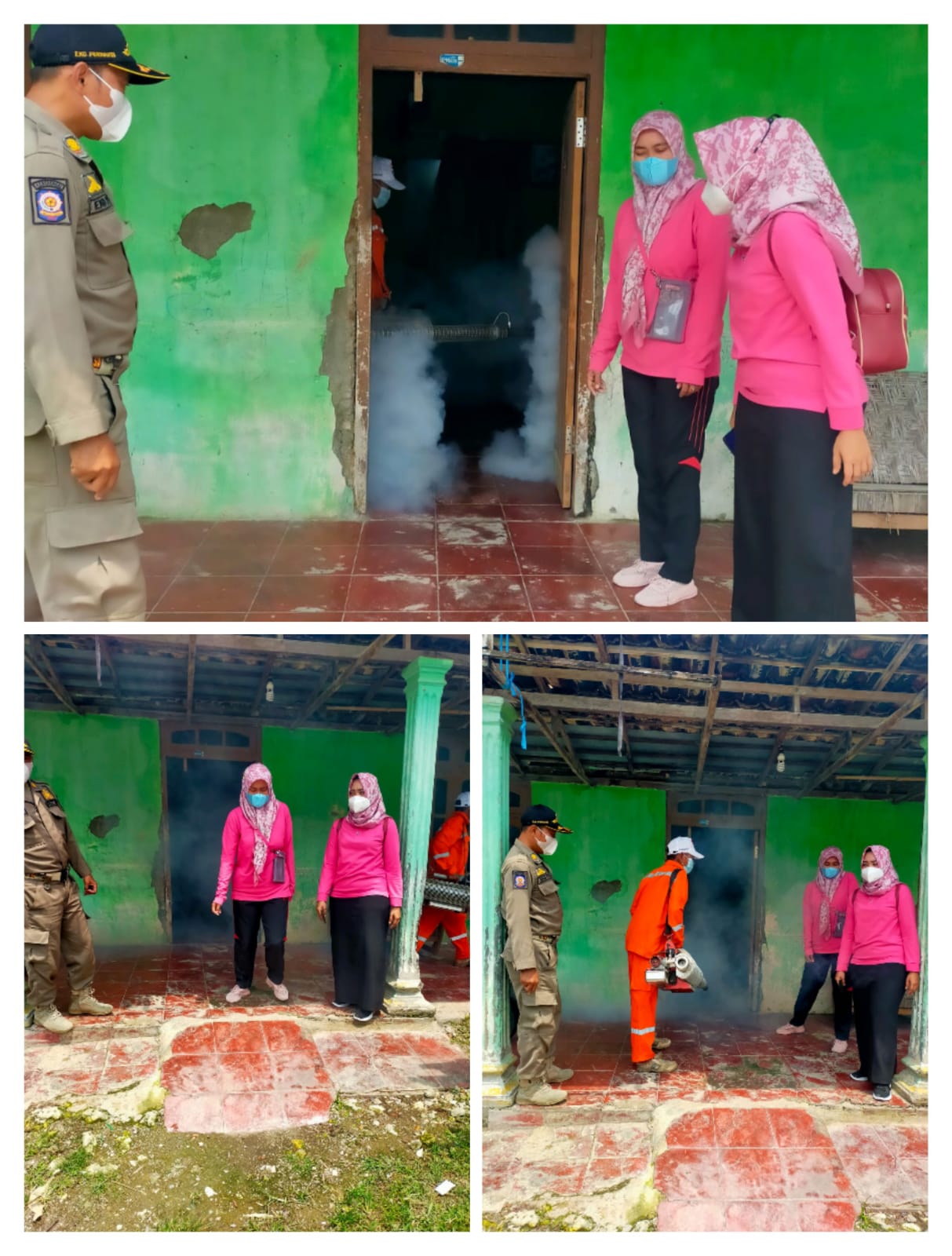 Pendampingan  fogging / Penyemprotan nyamuk  Aides Aigepti