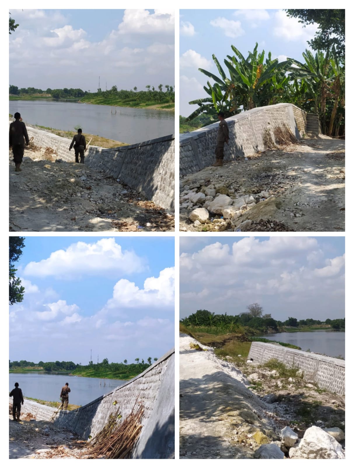 Cek tanggul Nasional Sungai Bengawan Solo desa Kanor